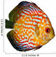 Red Tropical Symphysodon Discus Fish Wall Decal