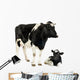 vache et son veau Wall Decal