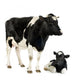 vache et son veau Wall Decal