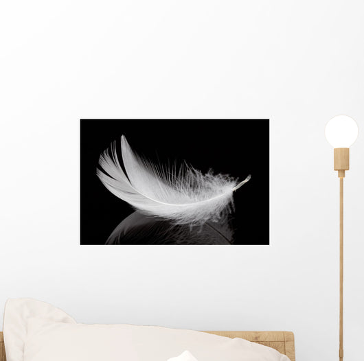 Feather
