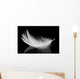 Feather