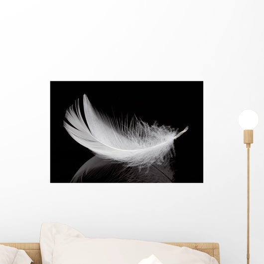Feather