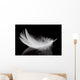 Feather