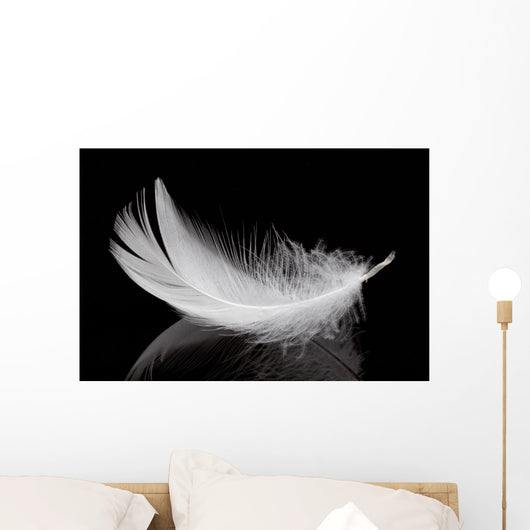 Feather