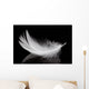Feather