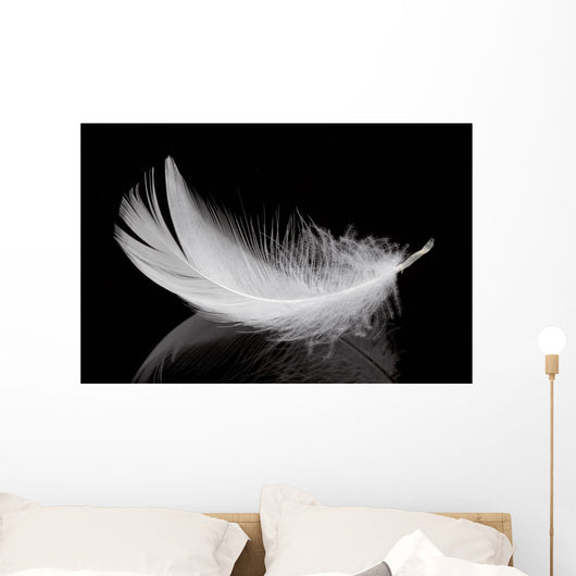 Feather