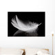 Feather