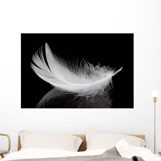 Feather