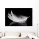 Feather