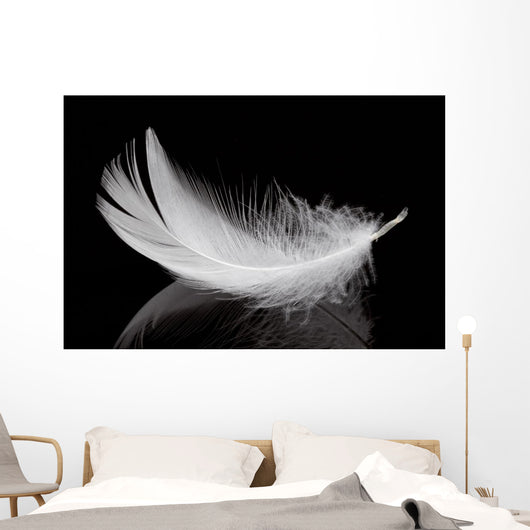Feather