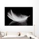 Feather
