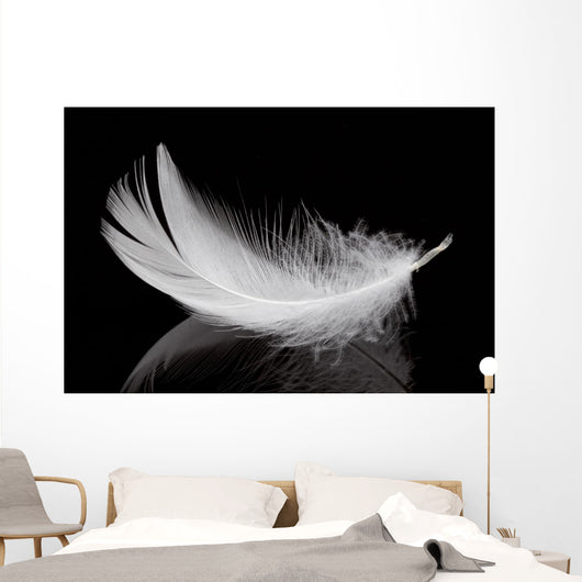 Feather