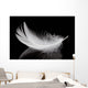 Feather