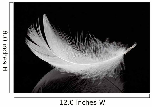 Feather