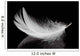 Feather