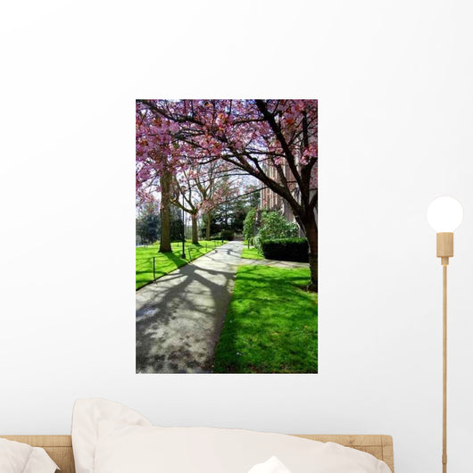 University Campus Wall Decal