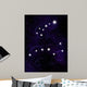 Ursa Major and Ursa