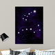 Ursa Major and Ursa