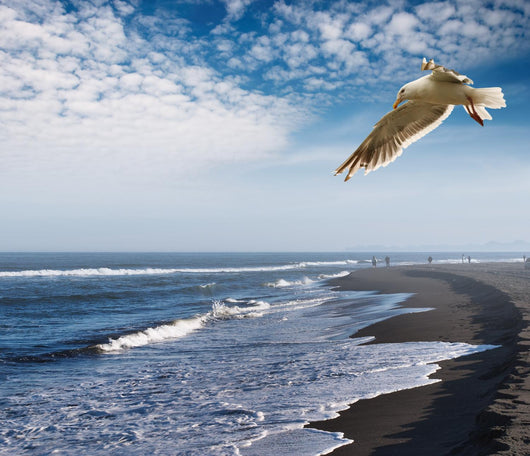 coastal view Wall Mural