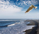 coastal view Wall Mural