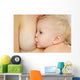 Breast Feeding Wall Mural