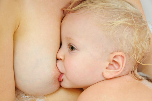 Breast Feeding Wall Mural