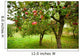 Apple Trees with Red