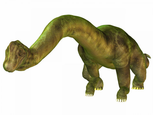 Brachiosaurus Wall Decal
