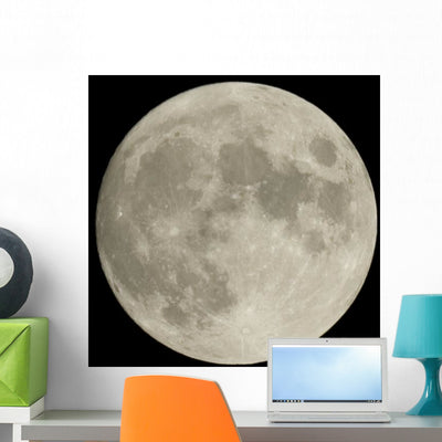 Moonlighting Wall Mural shown on a wall