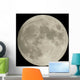 Moonlighting Wall Mural