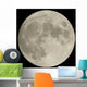 Moonlighting Wall Mural
