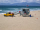 Lifeguard Wall Mural