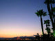 Santa Monica Wall Decal Design 2