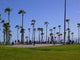 Venice Skate Wall Decal