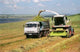 Harvesting Wall Decal