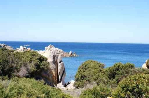 Corse Wall Decal Design 6
