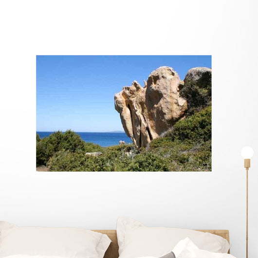 Corse Wall Decal Design 5