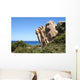 Corse Wall Decal Design 5