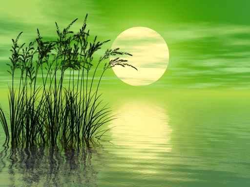 Grass Sunset mid Wall Decal Design 1