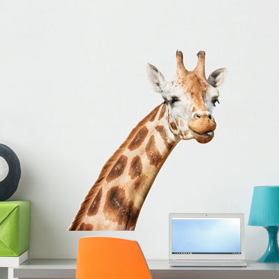 Giraffe Head Sly Winking Wall Decal shown on a wall