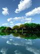 Green Pond Vx Wall Decal