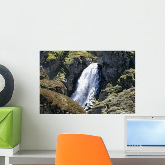 Corse Wall Decal Design 2