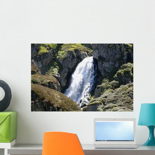 Corse Wall Decal Design 2