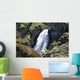 Corse Wall Decal Design 2