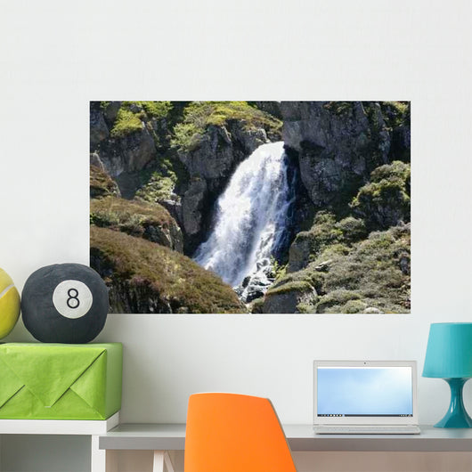 Corse Wall Decal Design 2