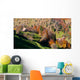 Rural Landscape Romania Wall Mural