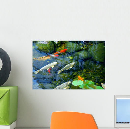 Koi Pond Wall Mural