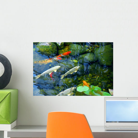 Koi Pond Wall Mural