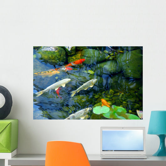 Koi Pond Wall Mural