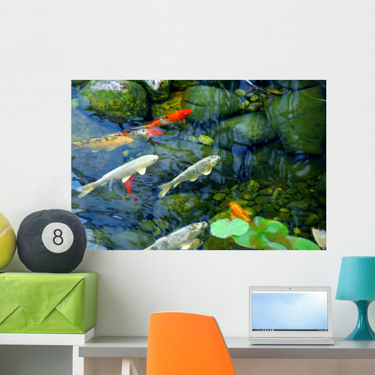 Koi Pond Wall Mural